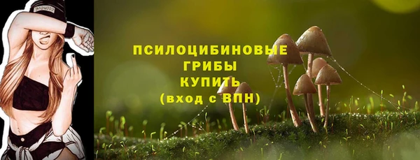 PSILOCYBIN Балабаново