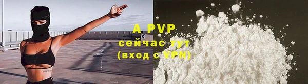 PSILOCYBIN Балабаново