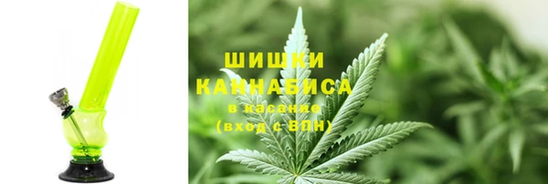 гидра Балахна