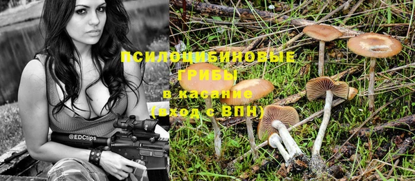 винт Баксан