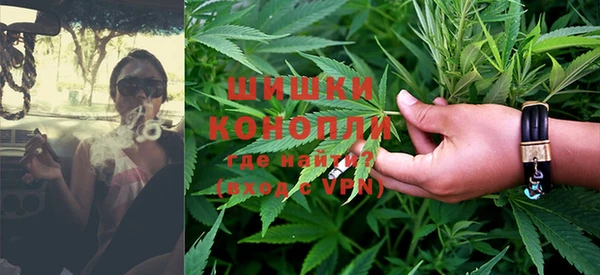 PSILOCYBIN Балабаново
